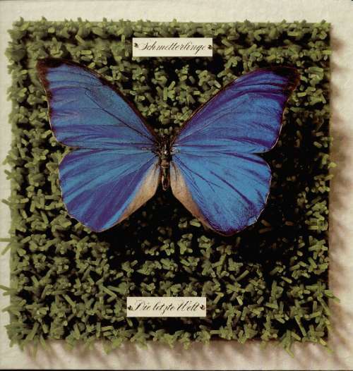 Cover Schmetterlinge - Die Letzte Welt (2xLP, Album) Schallplatten Ankauf