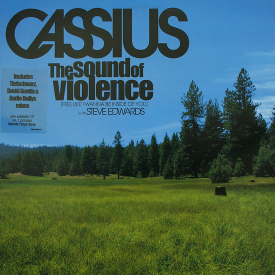Cover Cassius With Steve Edwards - The Sound Of Violence (Feel Like I Wanna Be Inside Of You) (12) Schallplatten Ankauf